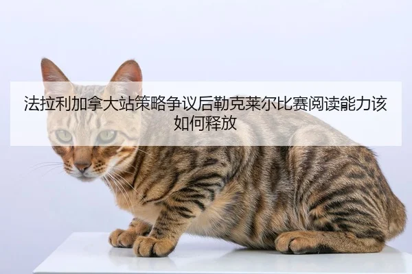 fa-la-li-jia-na-da-zhan-ce-lve-zheng-yi-hou-lei-ke-lai-er-bi-sai-yue-du-neng-li-gai-ru-he-shi-fang-2-528.jpg